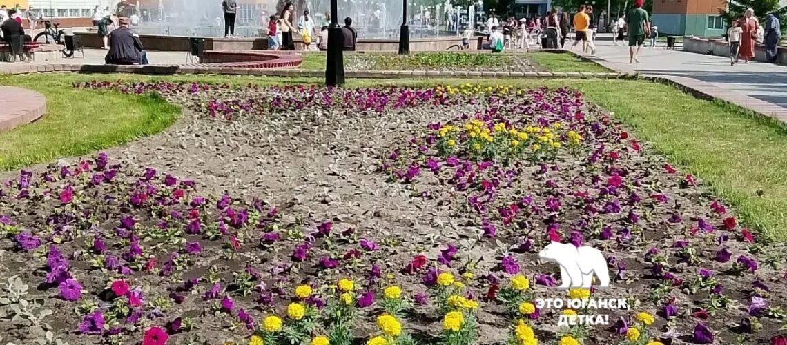 Город начали озеленять.