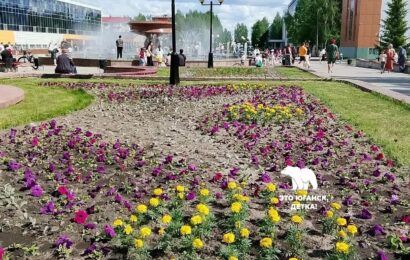 Город начали озеленять.