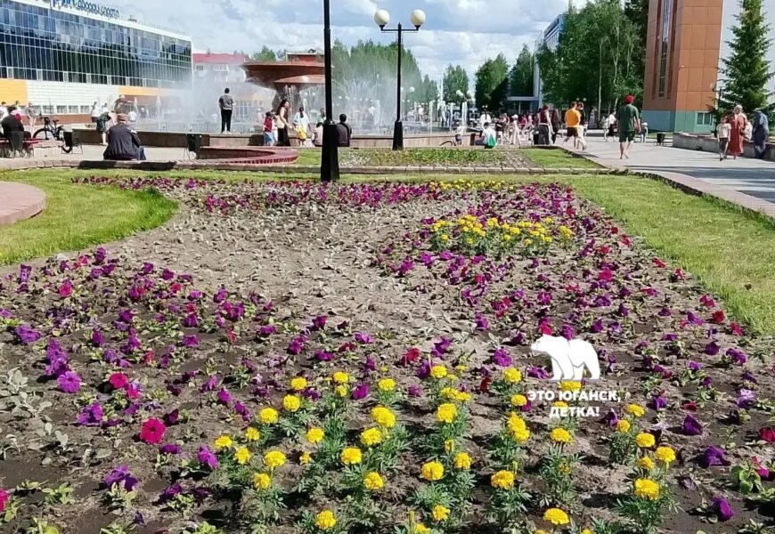 Город начали озеленять.