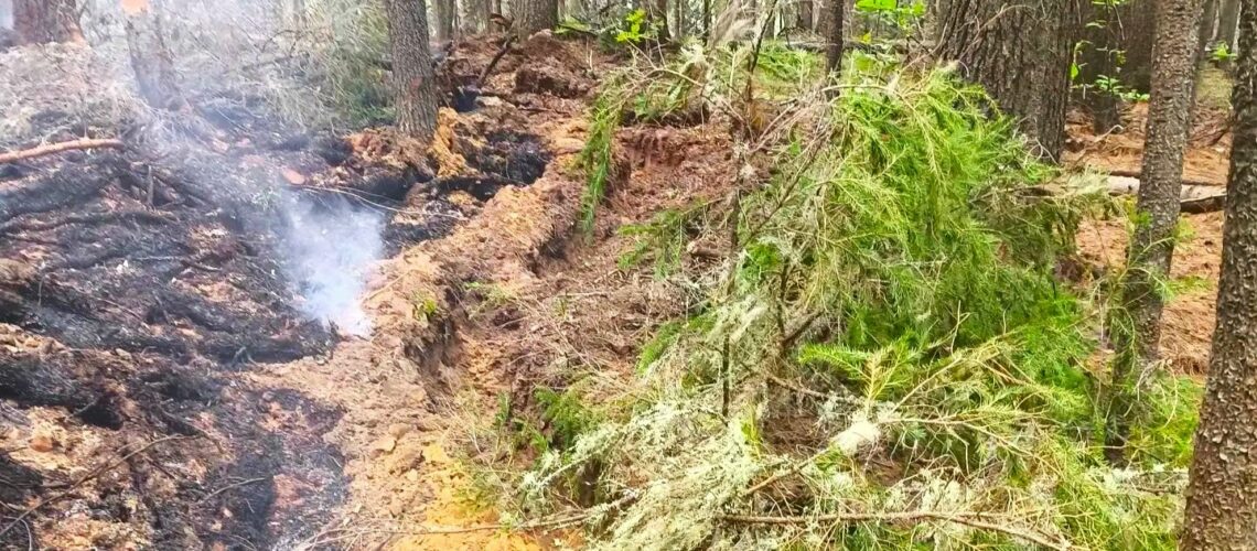 Сухие грозы стали основной причиной лесных пожаров в Югре