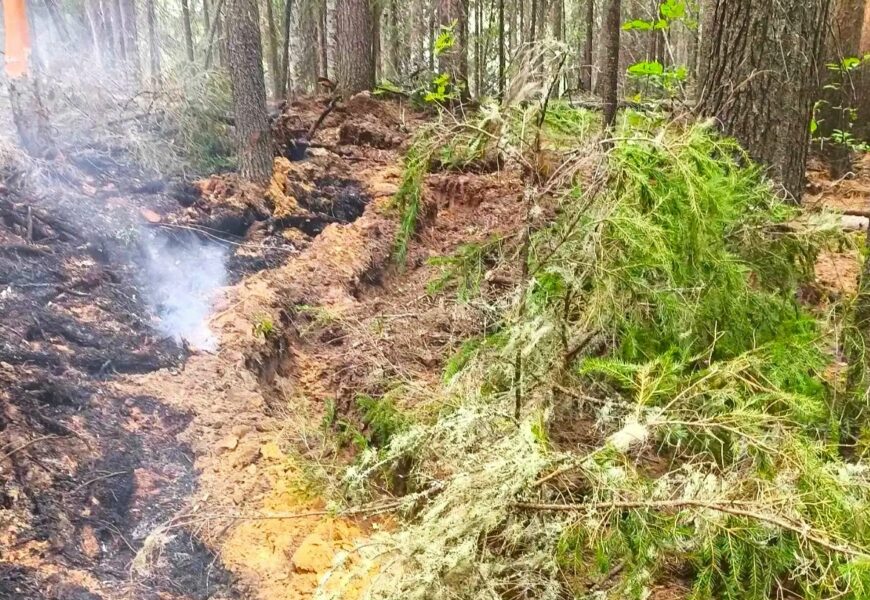 Сухие грозы стали основной причиной лесных пожаров в Югре