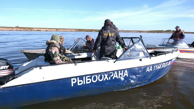 В Югре осудят браконьера за добычу почти 17 тонн щуки. Обвинительное заключение по уголовному делу утвердил природоохранный прокурор. В Югре осудят браконьера за добычу почти 17 тонн щуки. Обвинительное заключение по уголовному делу утвердил природоохранный прокурор.