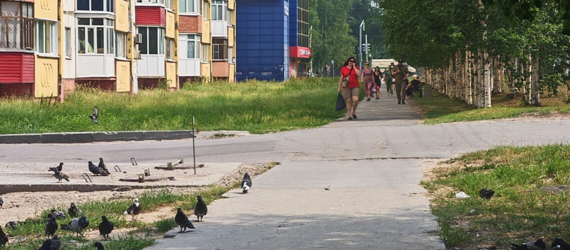 Стала известна средняя пенсия по старости в России
