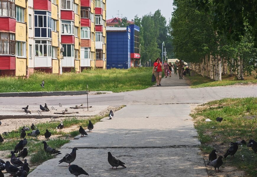 Стала известна средняя пенсия по старости в России Стала известна средняя пенсия по старости в России